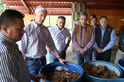 BUSCA EDOMÉX OBTENER DENOMINACIÓN DE ORIGEN DEL MEZCAL PRODUCIDO EN LA ENTIDAD