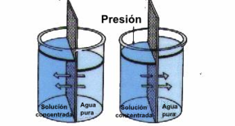 Descubriendo la ósmosis inversa en el consumo de agua en el hogar Descubriendo la ósmosis inversa en el consumo de agua en el hogar