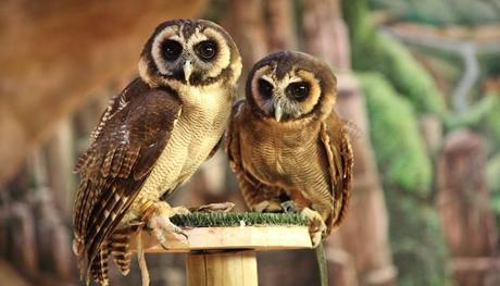 Que Ver En La Rioja | 12 Lugares Para Disfrutar Su Cultura Y Vino