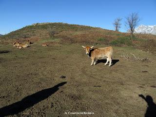 Beyo-La Camperona-Conforcos-La Col.lá-El Campón l´Entrigual