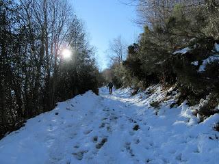 Beyo-La Camperona-Conforcos-La Col.lá-El Campón l´Entrigual