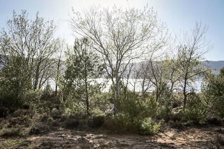 Pantano de Buendía, Cuenca