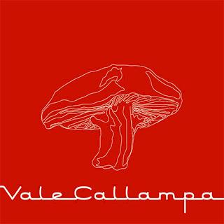 Vinilografía | Café Tacvba Vinilografía | Café Tacvba