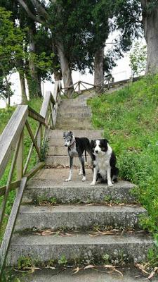 Vilma y la injusticia + Zarafa + Felicidad clandestina