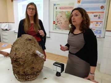 Ver imagen en Twitter