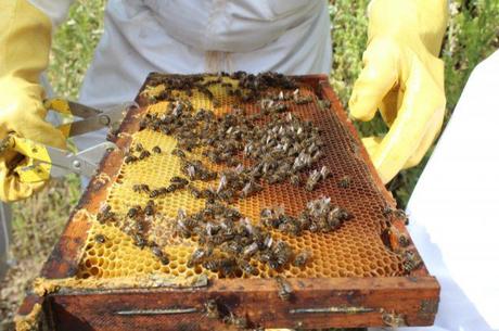 'Héroes anónimos' emite un programa especial sobre cuidados paliativos