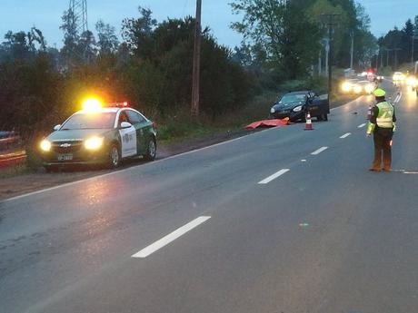 Joven de 21 años perdió la vida tras ser atropellado en Puerto Octay
