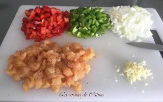 Trenza de pollo con verduras