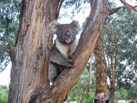 Los 10 mejores Parques Nacionales de Australia