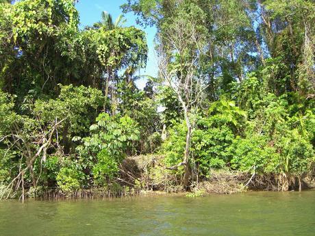 Los 10 mejores Parques Nacionales de Australia