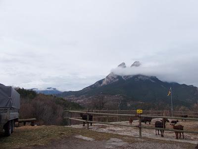 Cursa de reis a Sant Julia de Guardiola. Cursa de reis a Sant Julia de Guardiola.