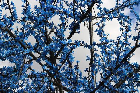 Un sueño dirigido Un sueño dirigido