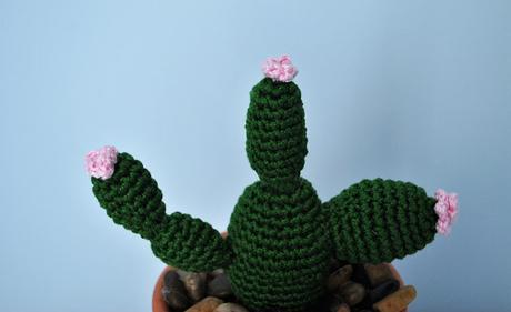 CACTUS DE GANCHILLO