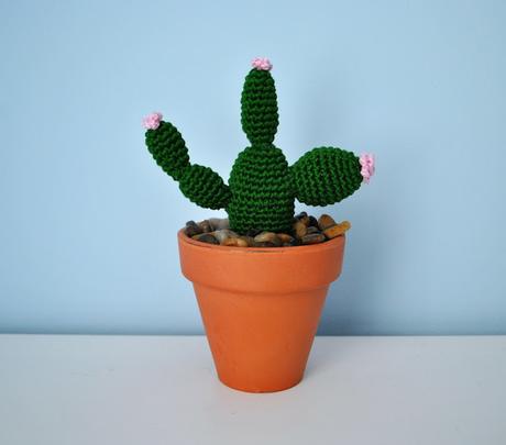 CACTUS DE GANCHILLO