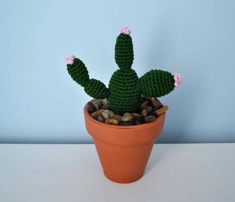 CACTUS DE GANCHILLO