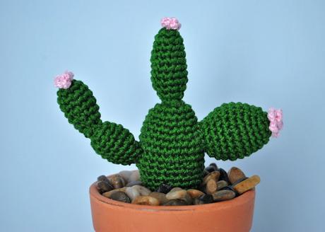 CACTUS DE GANCHILLO