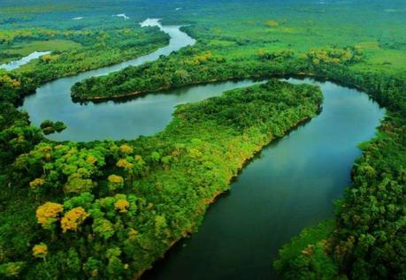 Cómo hacer turismo en el Amazonas