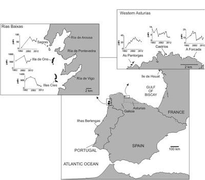 Los impactos de las actividades humanas sobre las aves marinas