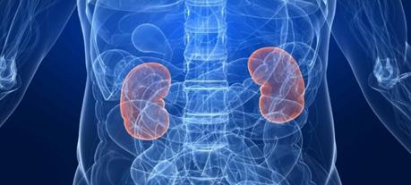 Consejos para descender los niveles de creatinina