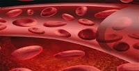 La Hemofilia B se puede Tratar de por Vida con una sola Inyección