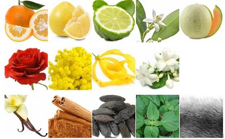 El Perfume del Mes – “Bouquet” de FLOR DE MAYO