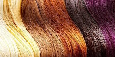 ¿Hablamos de coloración? ¿Hablamos de coloración?