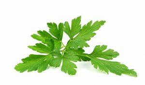 Trucos naturales para la cistitis - Trucos de salud caseros Trucos naturales para la cistitis - Trucos de salud caseros