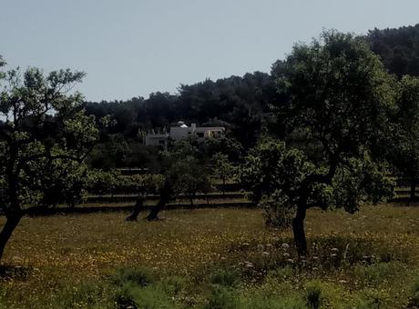 Análisis paisaje con Feng Shui