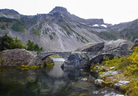 ¿Qué te llama la atención? tu elección revelará tus debilidades y fortalezas en la vida