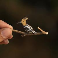 Las Aves exóticas de Papel más hermosas de internet