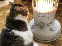 ¿Esto es lo que significa quemar amor?