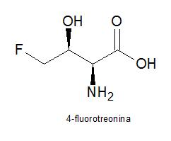 4-fluorotreonina