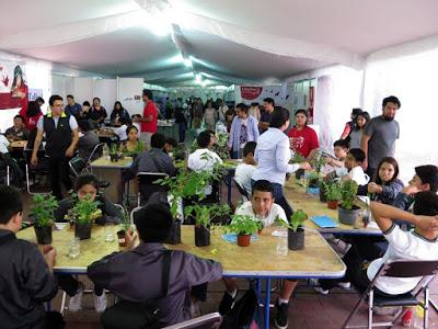 “Juventud solidaria, cultura y política”, los temas del Librofest Metropolitano 2018