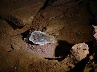 ¿Qué es: Basura o Reliquia?