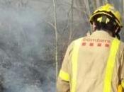 origen fuego Alfara Carles estaría relacionado apicultura