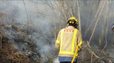 El origen del fuego de Alfara de Carles estaría relacionado con la apicultura