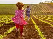 fotos milagro agrícola Israel