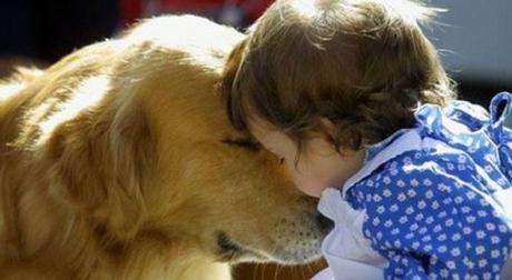 Estudio muestra que los perros sienten el dolor de las personas y buscan aliviarlo