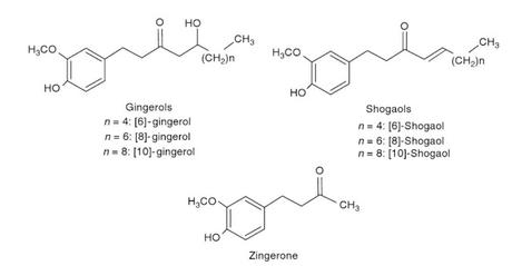 QUÉ CHISPA TIENE EL JENGIBRE  - QUÍMICA EN LA COCINA