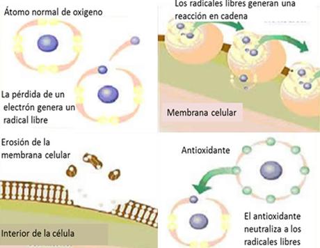 QUÉ CHISPA TIENE EL JENGIBRE  - QUÍMICA EN LA COCINA