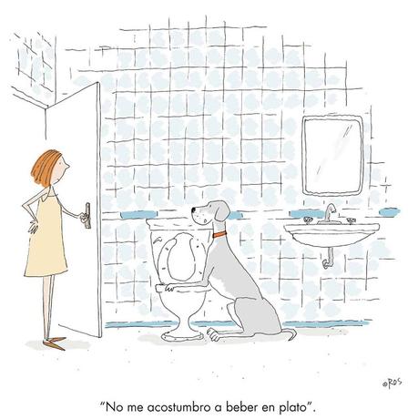 [HUMOR EN CÁPSULAS] Para hoy sábado, 5 de mayo