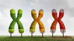 La búsqueda por una juventud más duradera y longevidad extrema Telomeros