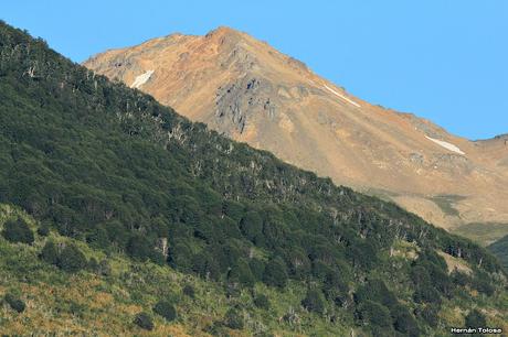 Picolezna de Los Alerces