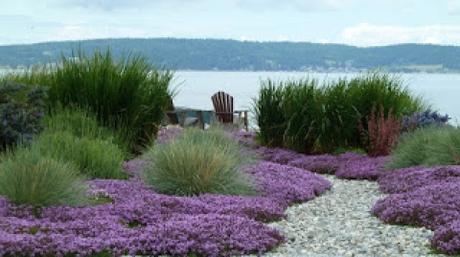 UN JARDÍN JUNTO AL MAR.- MICRORRELATO DE ÁNGEL SILVELO