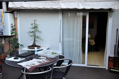 Retirando los alambres (Junípero , Cedro y Cipres) Retirando los alambres (Junípero , Cedro y Cipres)