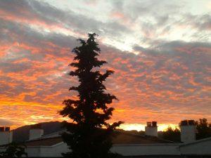 El final de una jornada que empezó con ilusión