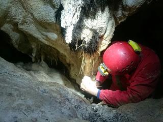 Actividades en el medio natural