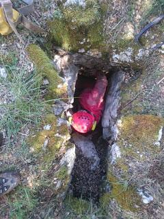 Actividades en el medio natural