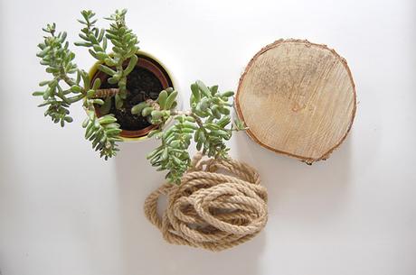 DIY : de rodaja de madera a macetero colgante