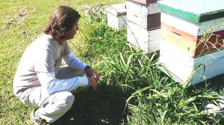 El veterinario Crespo disertará sobre  apicultura en la Expo Suipacha 2018
